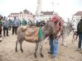 carnval 17 mars 2013 (45).jpg